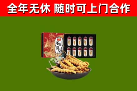红旗区回收冬虫夏草价格